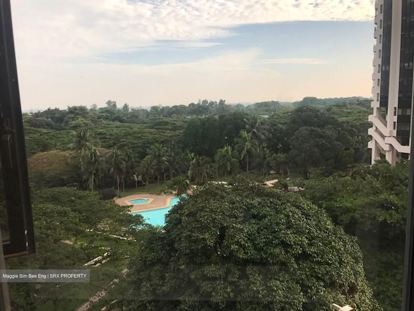 Bayshore Park (D16), Condominium #593593461